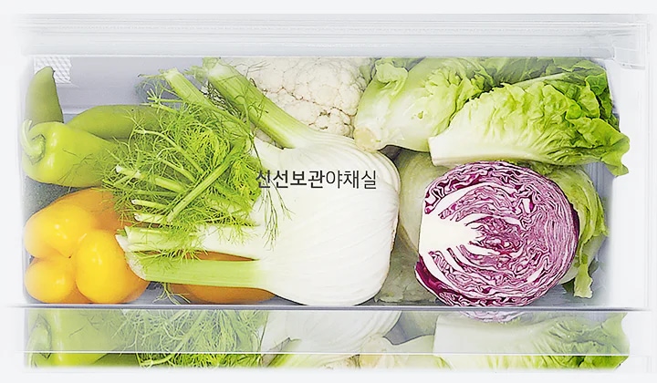 신선보관야채실이라는 글자가 있는 냉장고 야채 보관칸에 다양한 채소들이 정리되어 있습니다. 노란색과 초록색 피망, 흰색 양배추, 붉은색 양배추, 상추, 그리고 회향이 보입니다.
