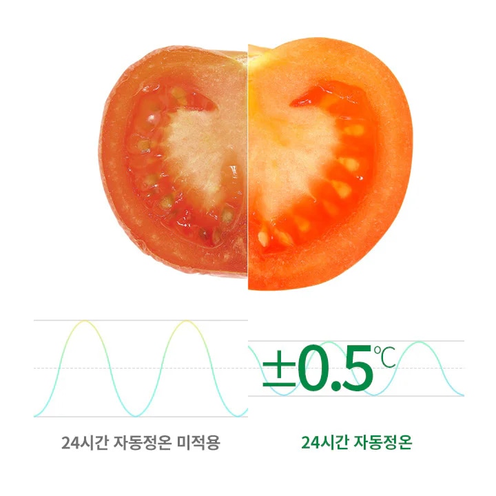 반으로 자른 토마토의 이미지가 있으며, 두 부분의 색상이 다릅니다. 아래에는 그래프와 함께 24시간 자동정온 미적용과 24시간 자동정온이라는 문구가 있습니다. 그래프는 온도의 변화를 나타내며, &plusmn;0.5℃라는 텍스트가 포함되어 있습니다.