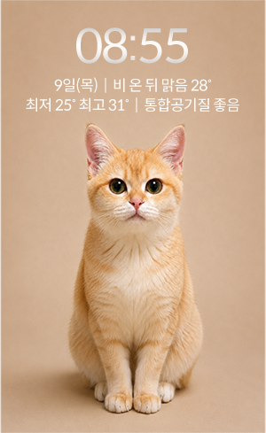 코웨이 CHPCI-8400N 카페 얼음정수기 상세이미지 54
